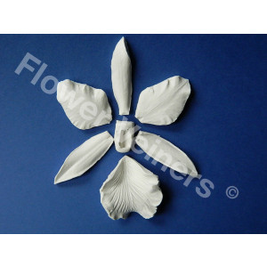 flower, veiners, veiner, cattleya, orchid, orchidee, blad, bloem, suikerbloem, suikerbloemen, clayflower, clayflowers, porcelain, porselein, silicone, siliconen, voedselveilig, flowerveiners, flowerveiners.com, FV0026