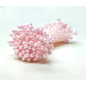 Stamens Large Pearl Pink