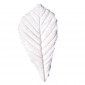 GI Leaf Veiner Chestnut - Medium Leaf 6.0cm